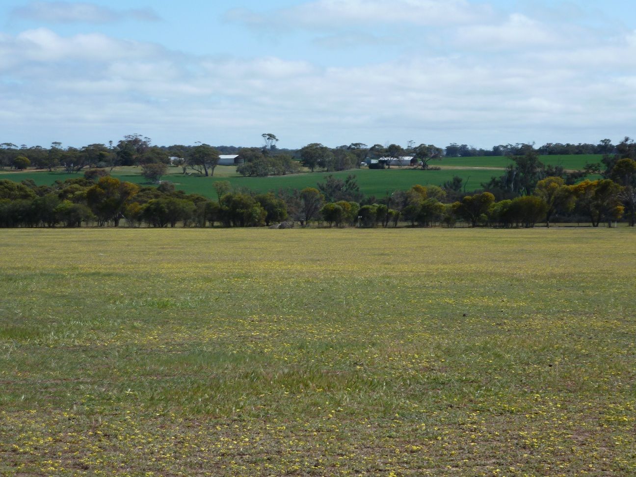 Lot 1795 Oakland Rd, Woodanilling via, Katanning WA 6317, Image 0