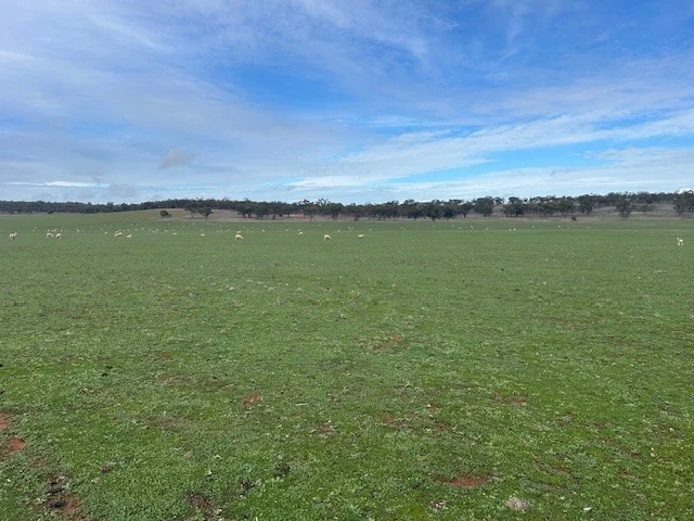 Image 9