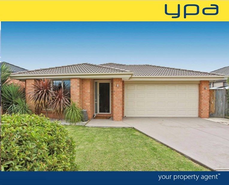 11 Rock Daisy Drive, Cranbourne West VIC 3977, Image 0