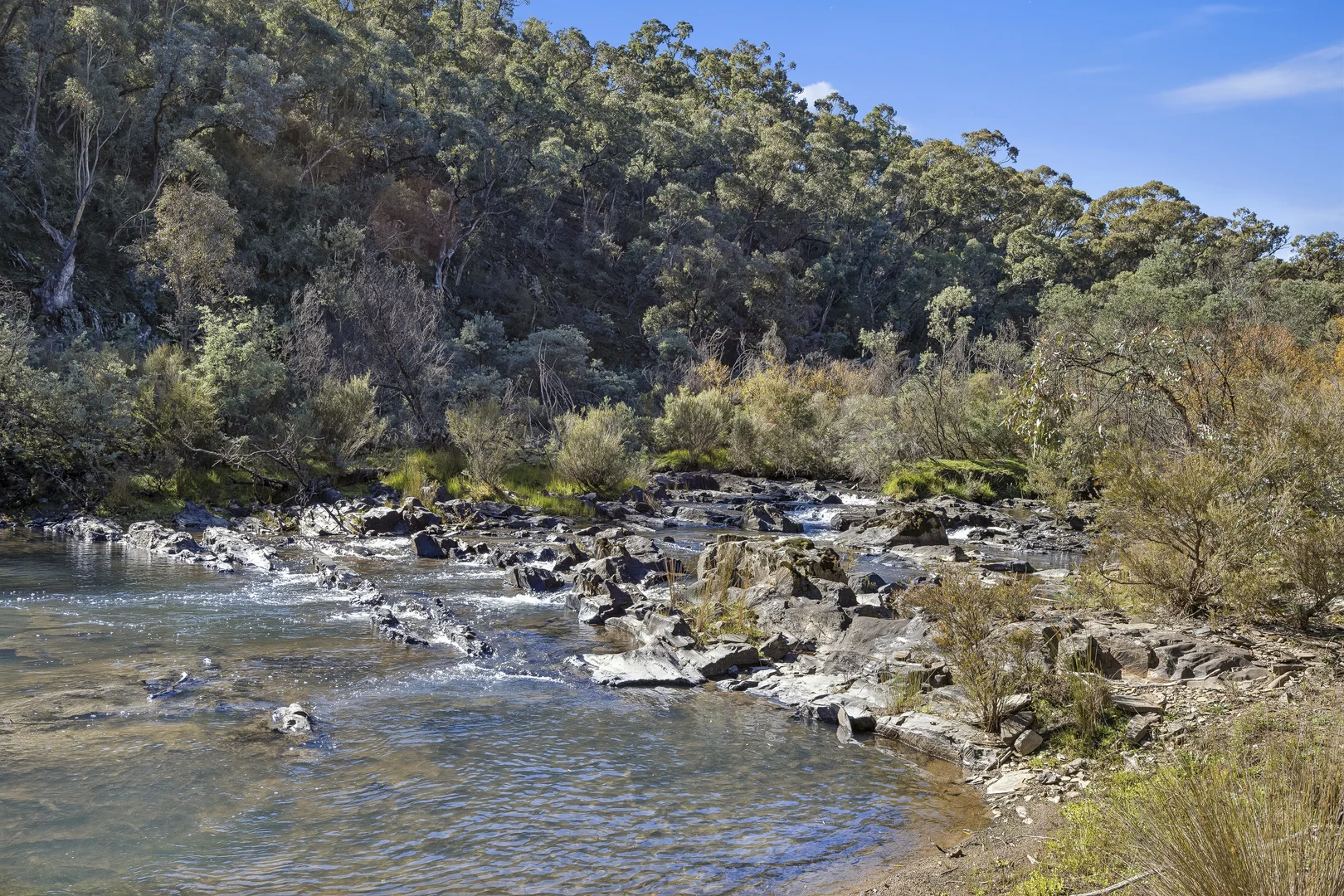 Image 46