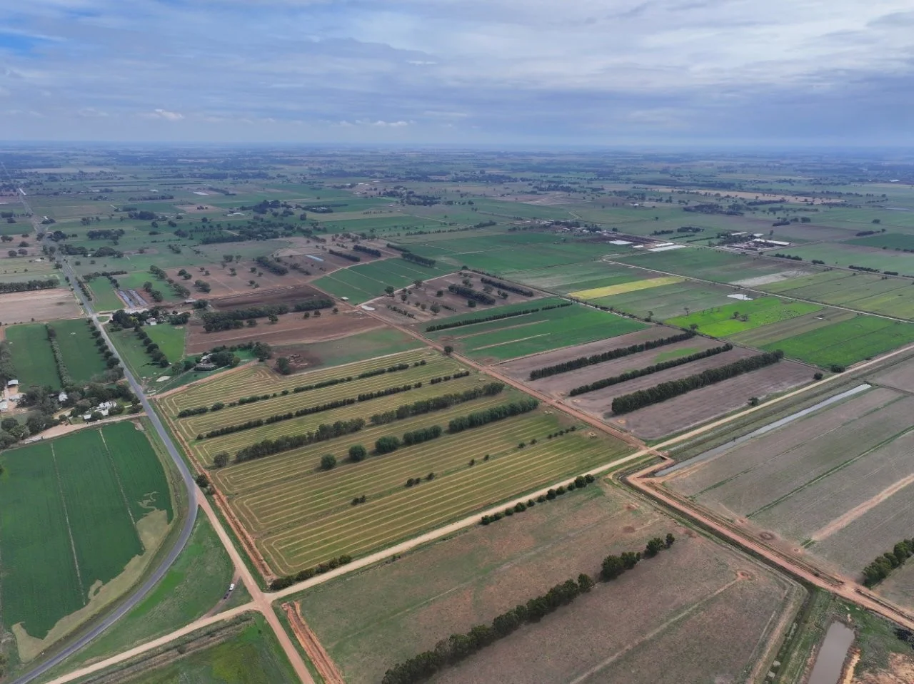 Image 11