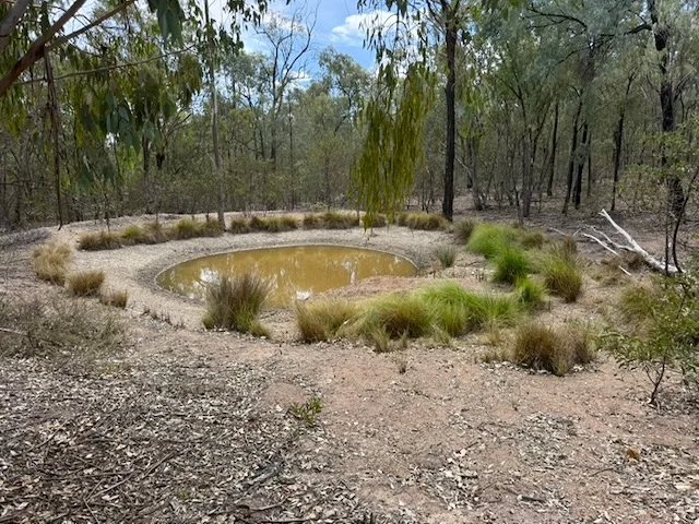 Additional image 12 of 566 Waverley Lane, Silver Spur QLD 4385