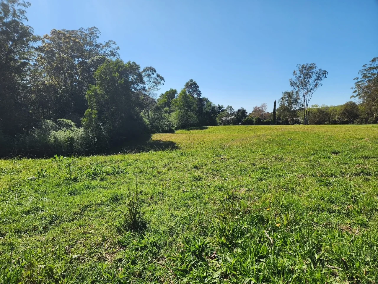 Image 14