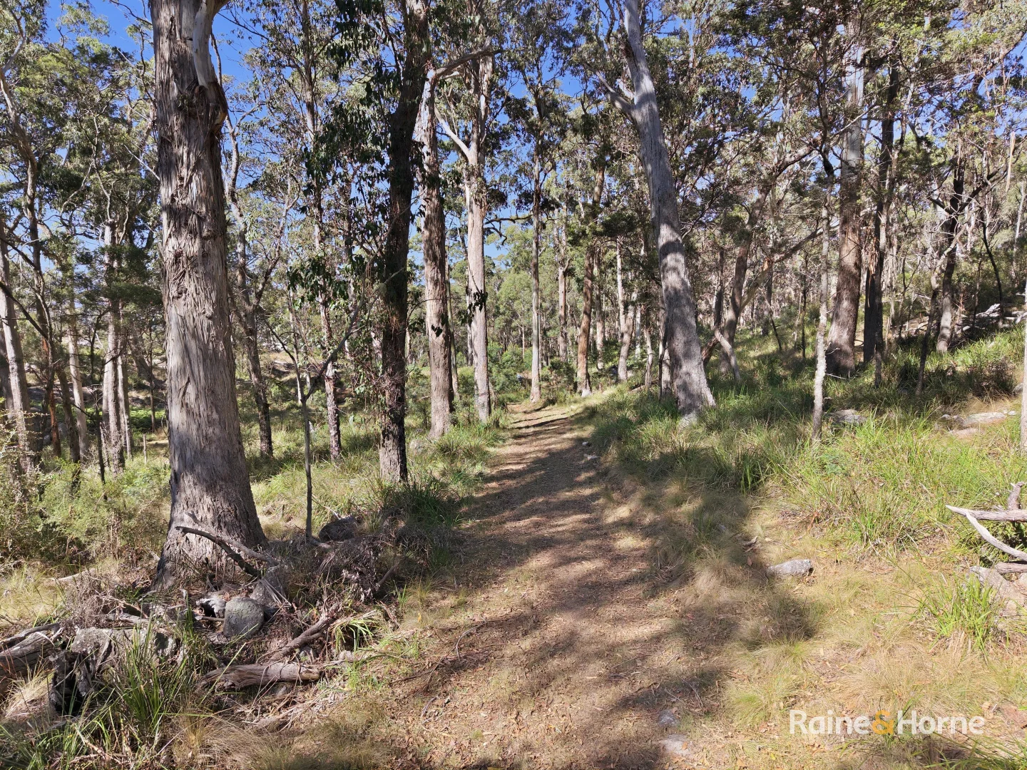 Additional image 20 of Tenterfield NSW 2372