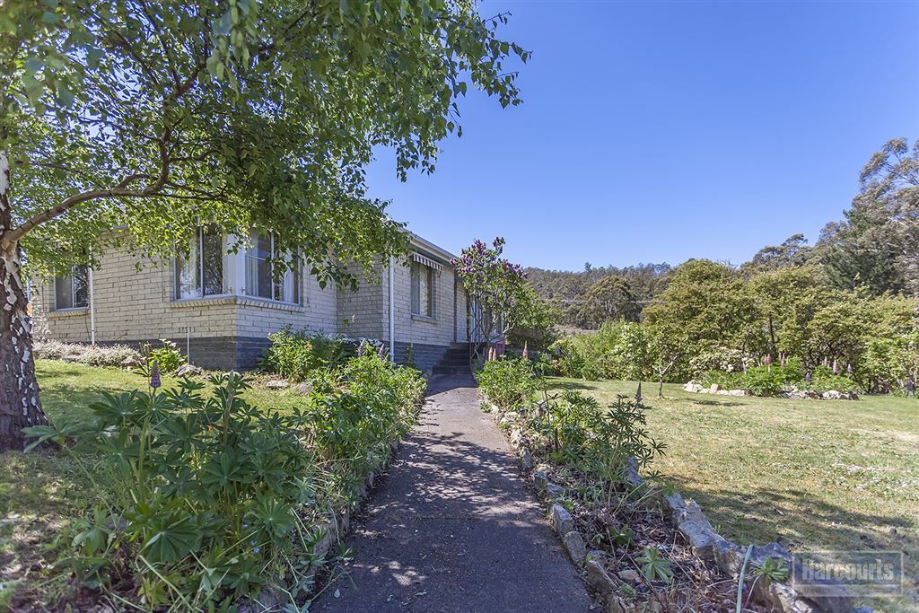 42 Mountain River Road, Grove TAS 7109, Image 0