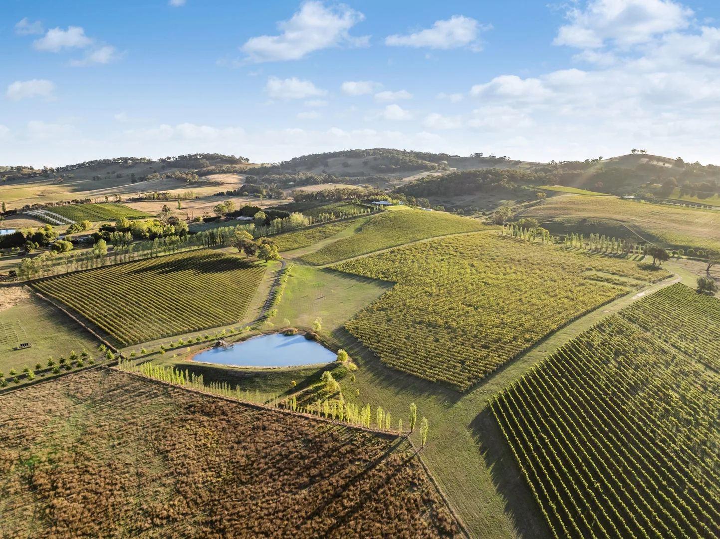 Additional image 21 of 603 Emu Swamp Road, Orange NSW 2800