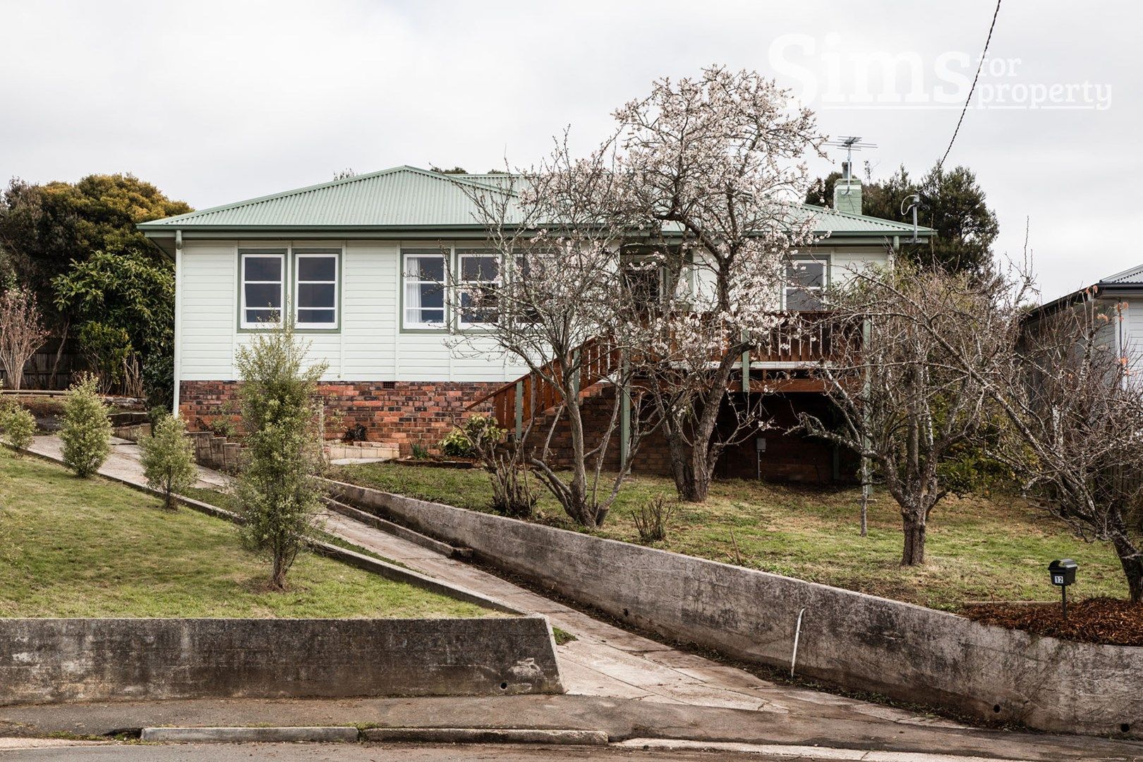 12 Herring Street, Punchbowl TAS 7249, Image 0