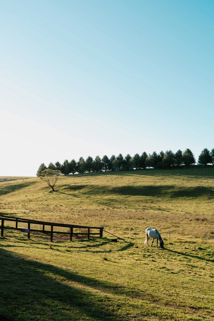 Additional image 35 of 7562 Illawarra Highway, Sutton Forest NSW 2577