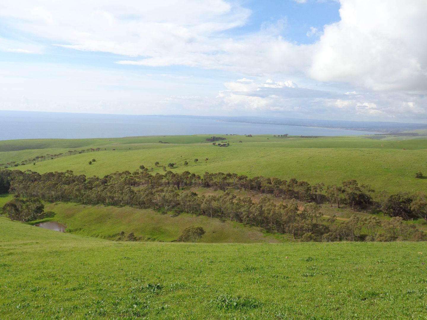 Lot 4 Whitelaw Road, Myponga Beach SA 5202, Image 2