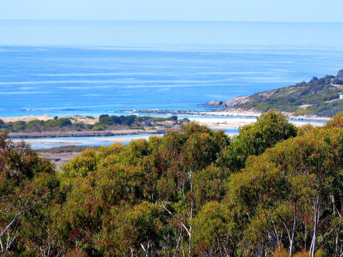 . Mcmanus Drive, Falmouth TAS 7215 Vacant Land for Sale 165,00030