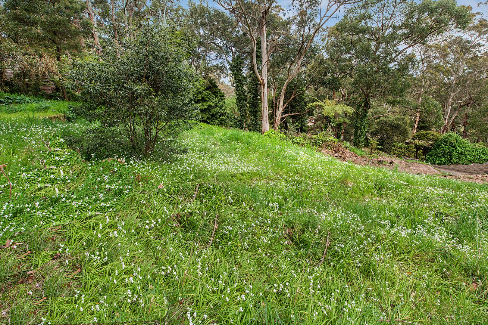 13 Belbrook Road, Upwey VIC 3158, Image 1