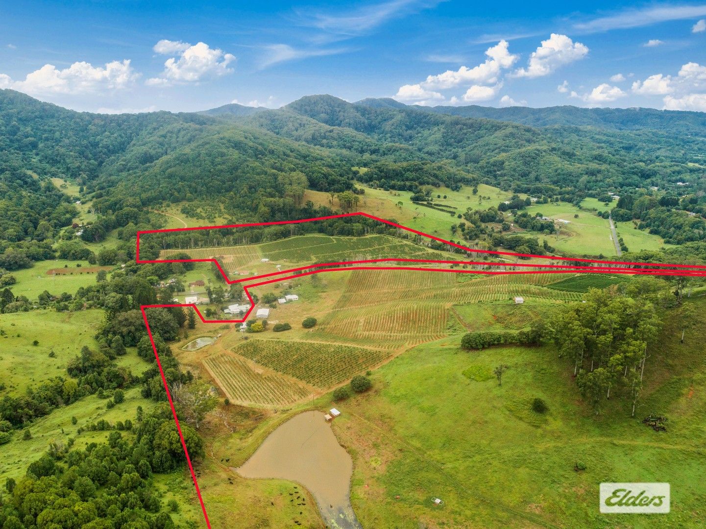 517 Upper Burringbar Road, Upper Burringbar NSW 2483 House for Sale