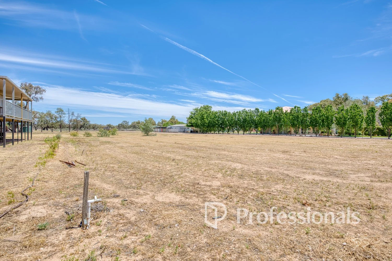 Image 10