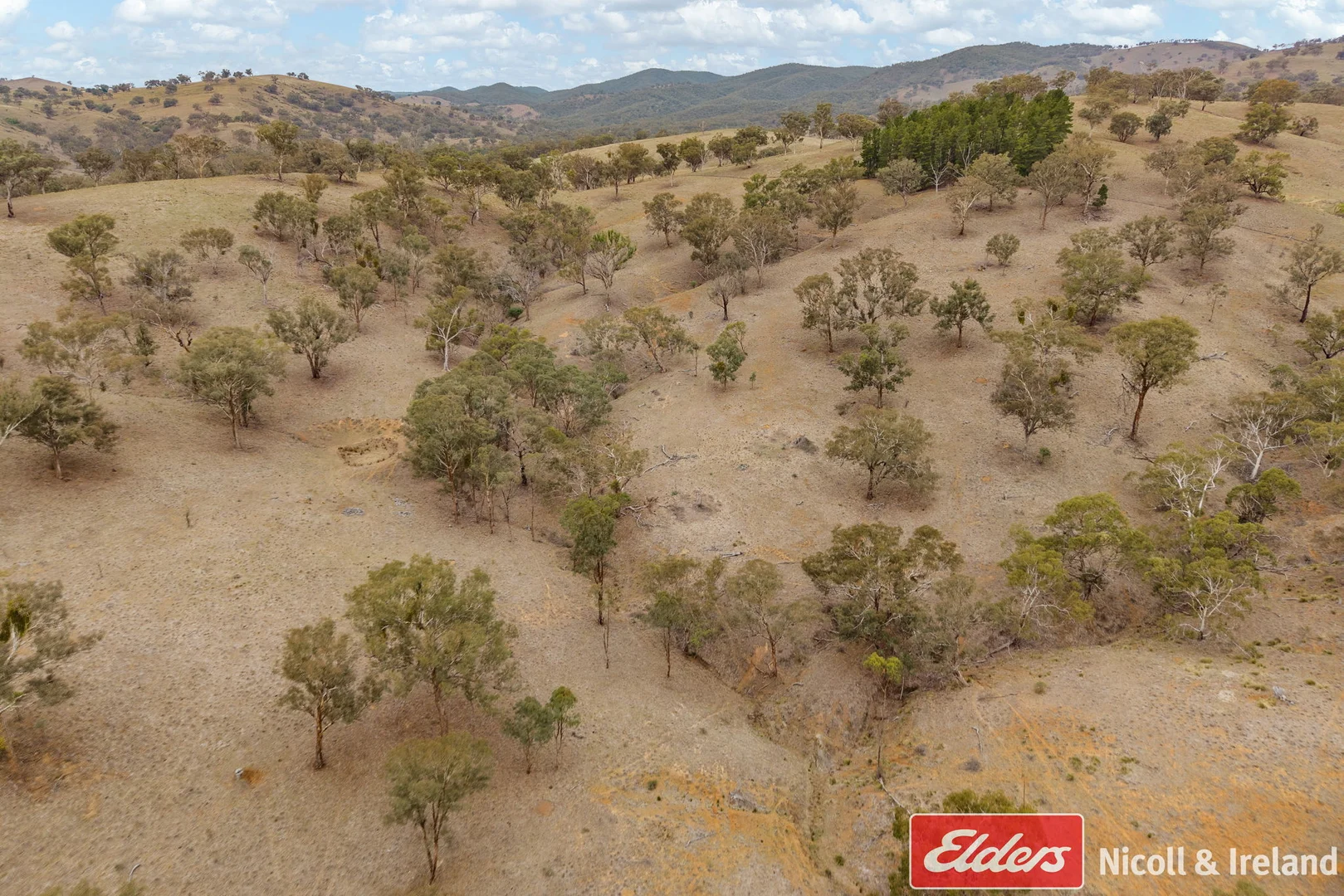 Additional image 9 of 2652 Ilford Road, Sofala NSW 2795