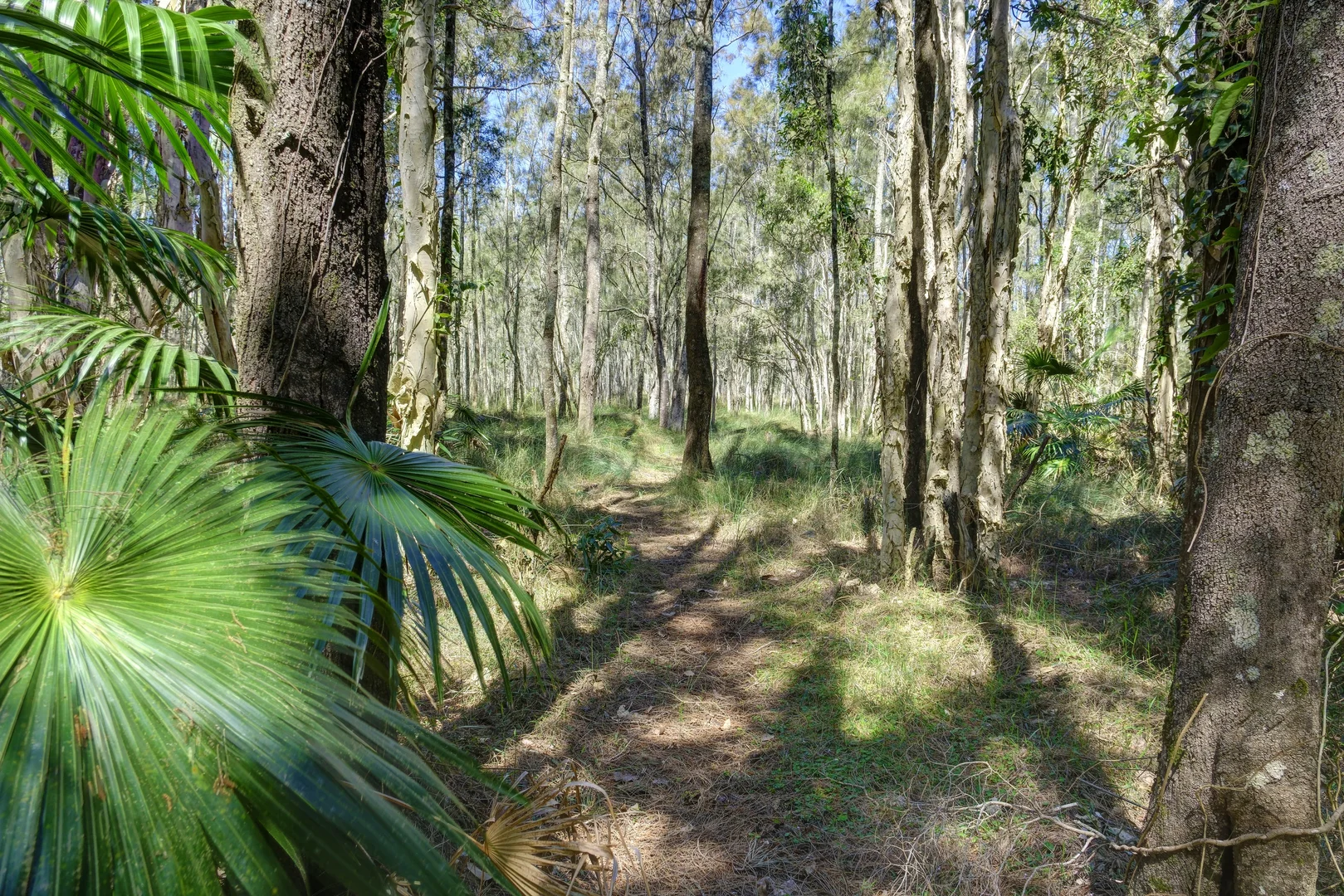 Image 11