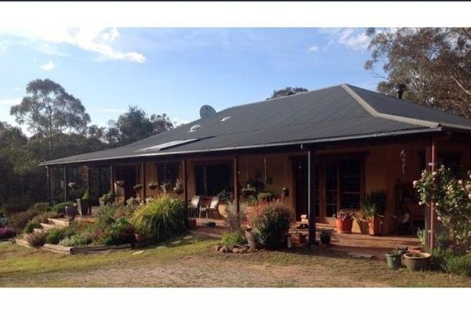 Picture of 115 Coxs Creek Trail, COXS CREEK NSW 2849