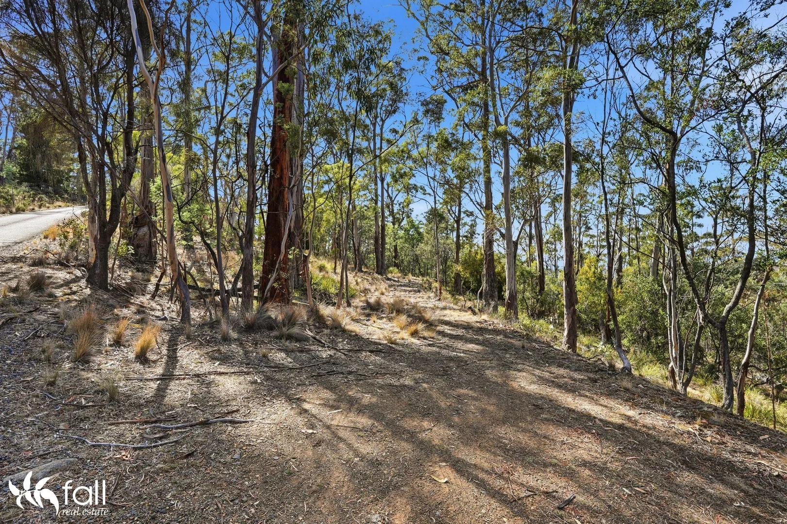 Additional image 6 of 40 Dexter Drive, Mount Rumney TAS 7170