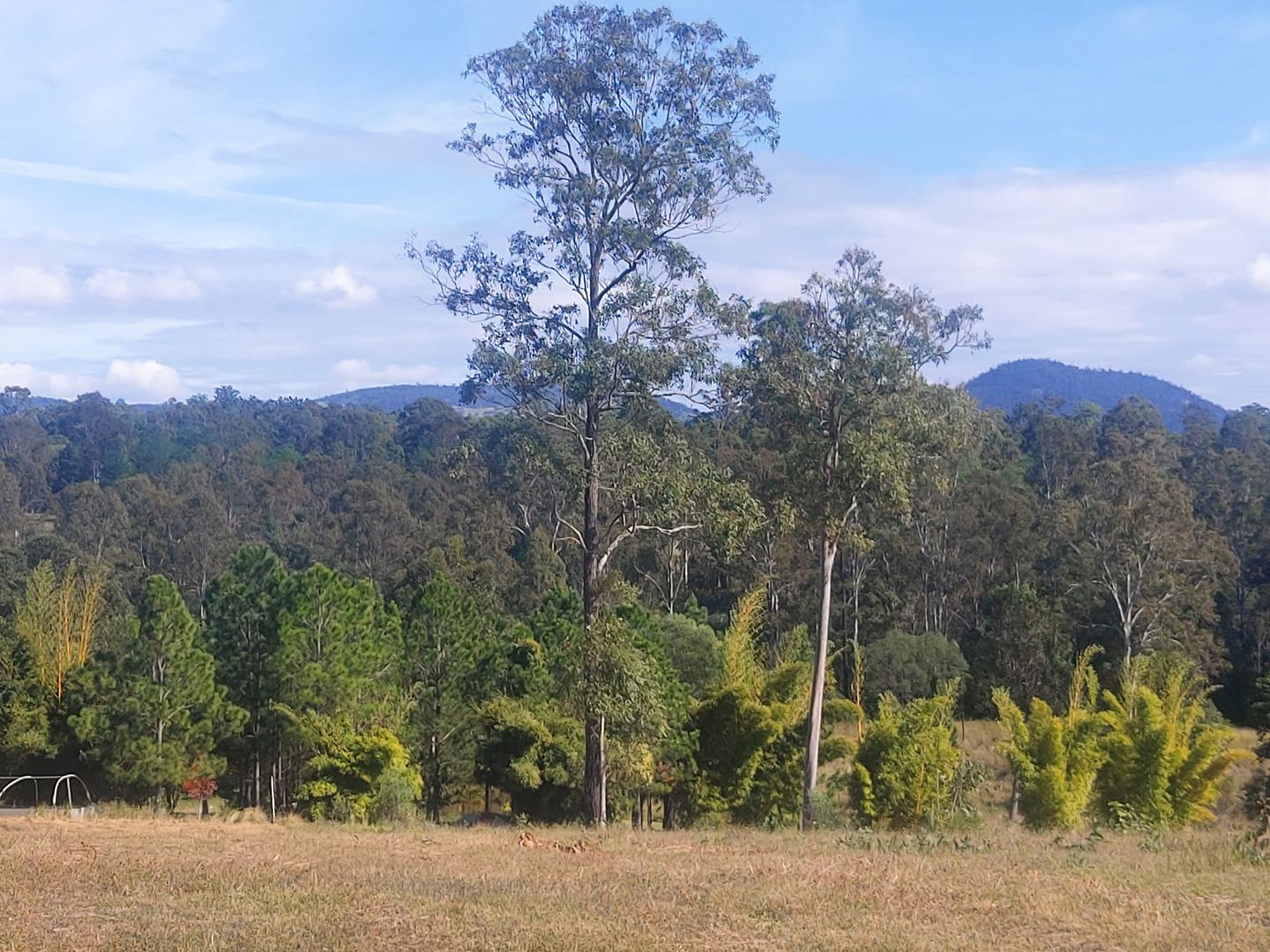 Lot 114 Arborfive Road, Glenwood QLD 4570 Domain