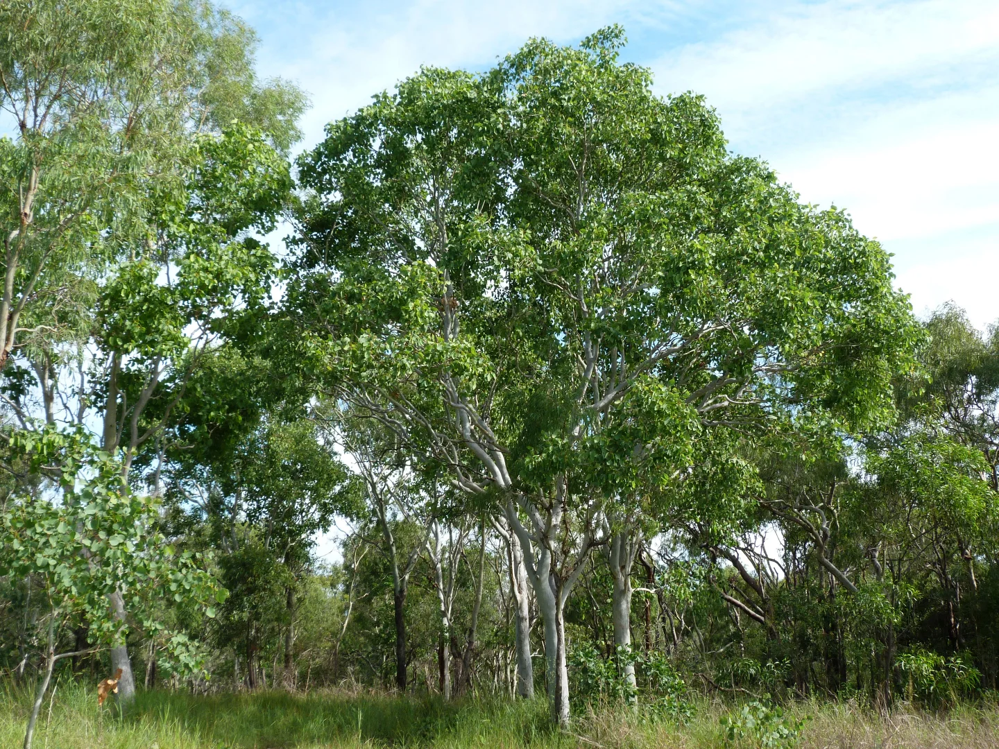 Image 34