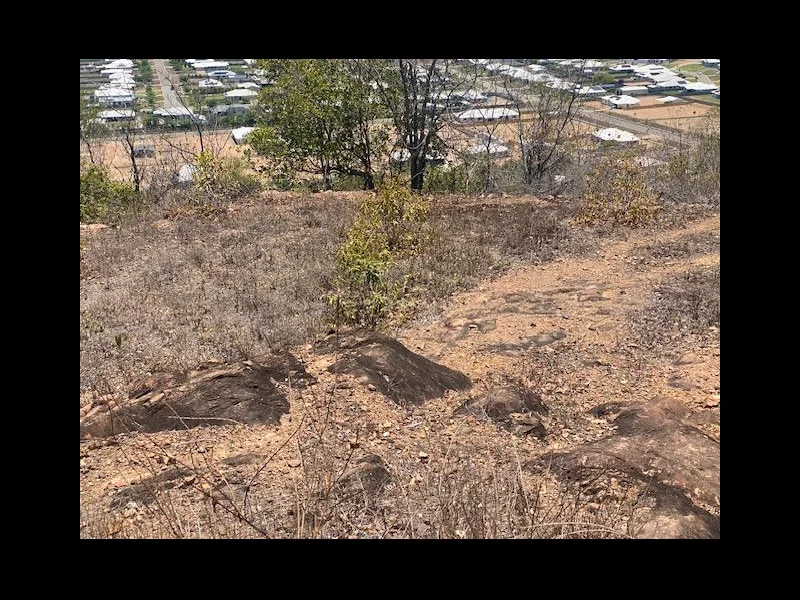Image 10