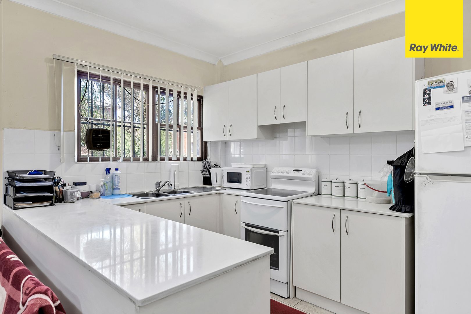 1079-1081 Canterbury Road, Wiley Park NSW 2195, Image 1