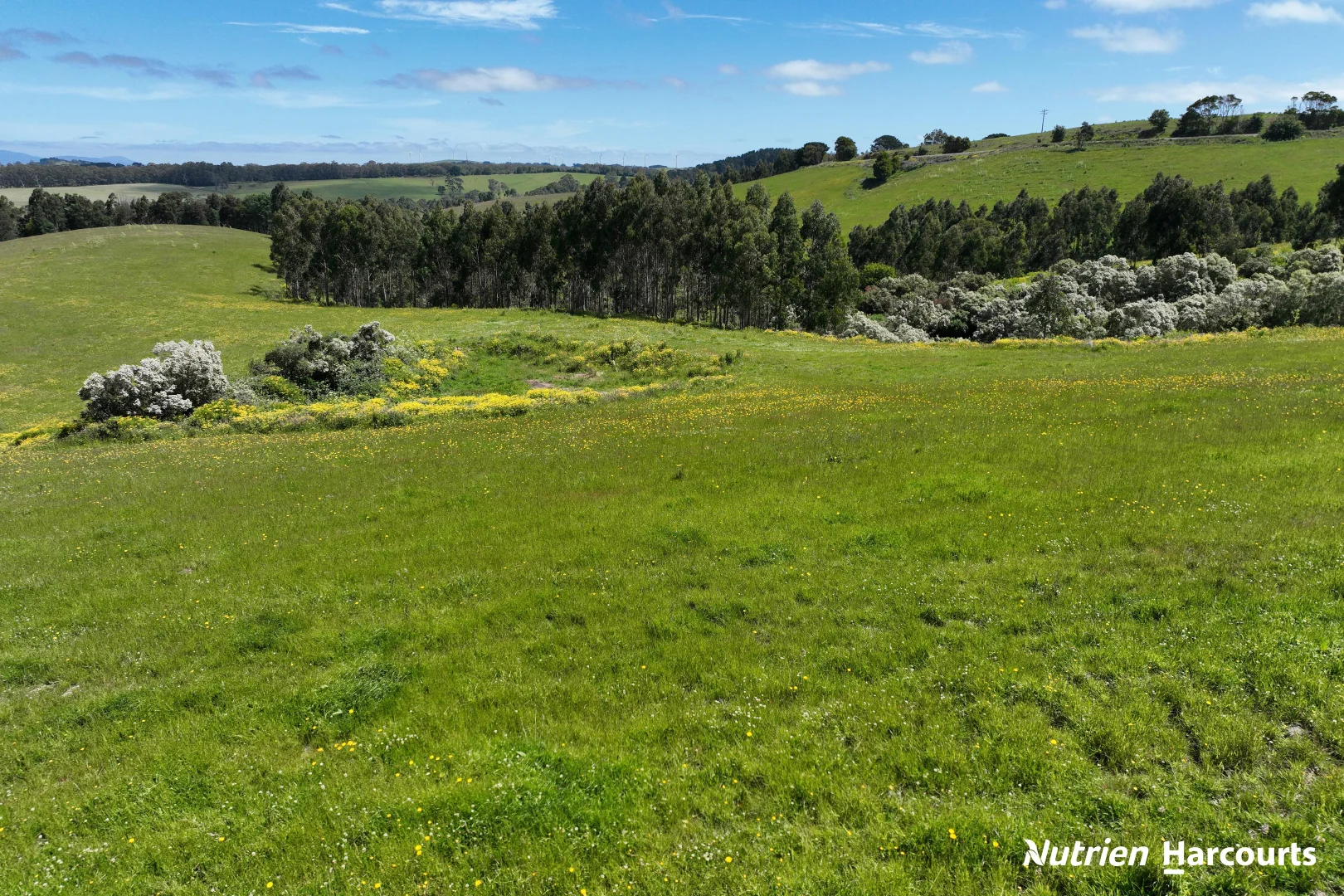 Additional image 13 of 2035 Woorarra East Road, Woorarra East VIC 3962