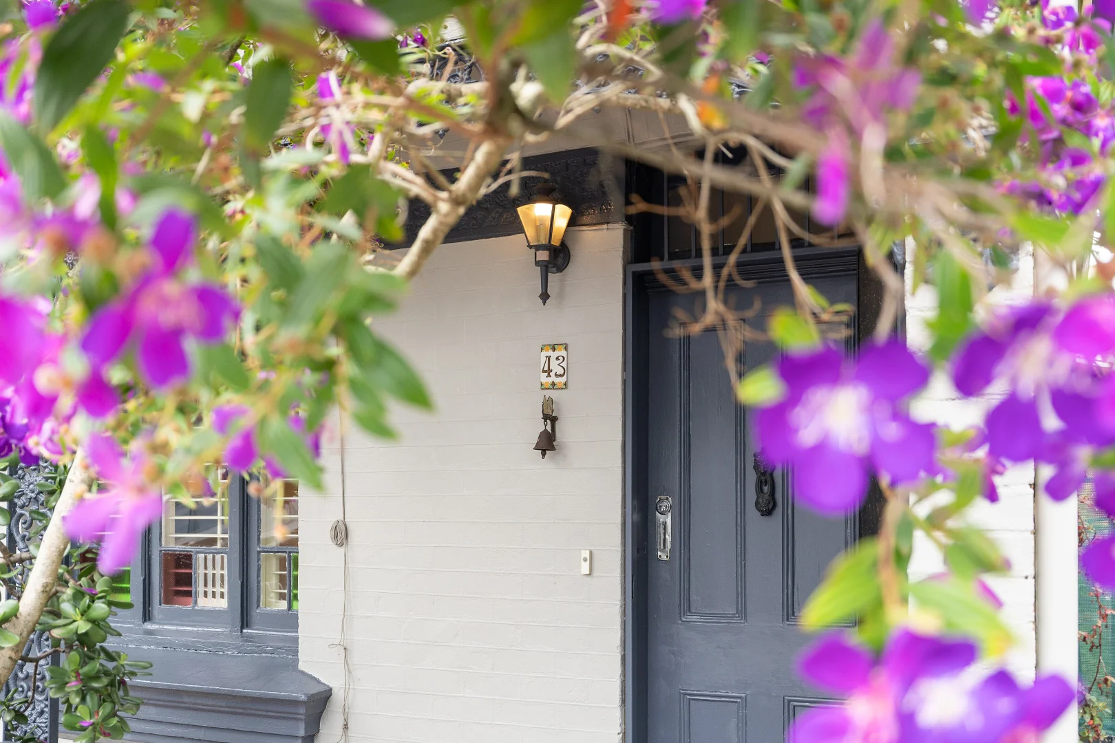 Additional image 16 of 43 Pine Street, Marrickville NSW 2204