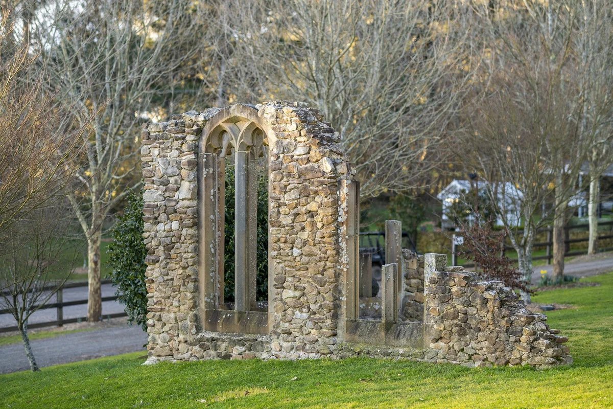 Image 19