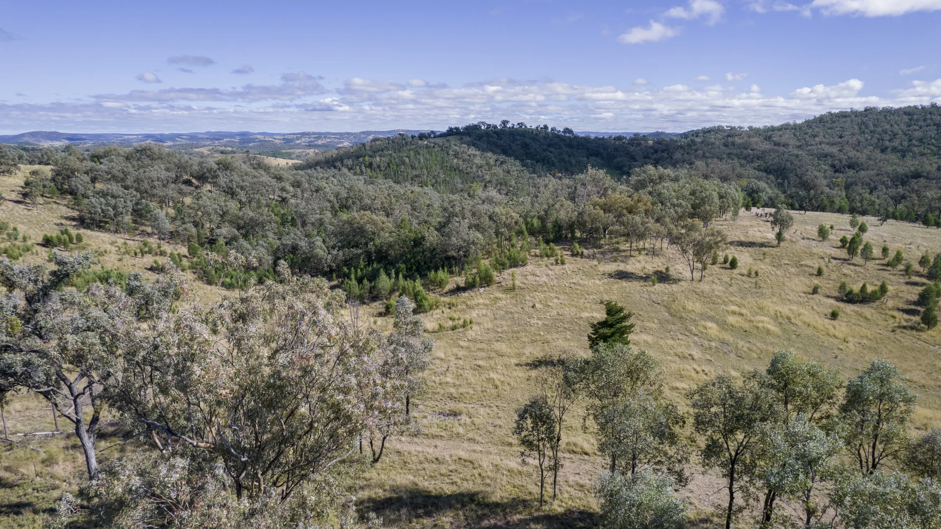 Additional image 16 of 4970 Bruxner Way, Tenterfield NSW 2372