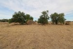 Image 13