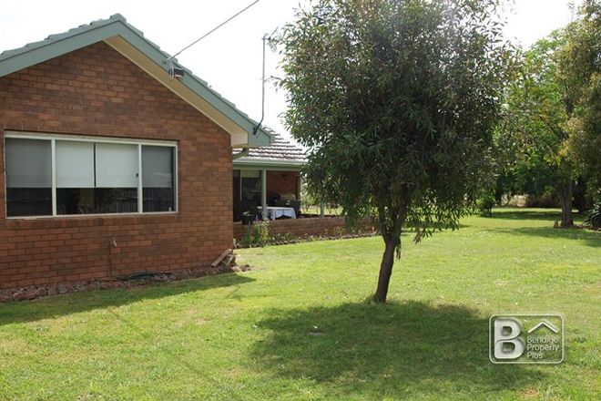 Picture of 31 Giffard Street, NEWBRIDGE VIC 3551