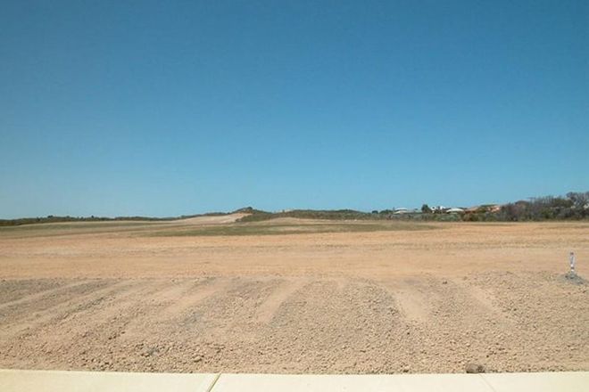 Picture of Lot 11 TARRAGONA LOOP, CERVANTES WA 6511