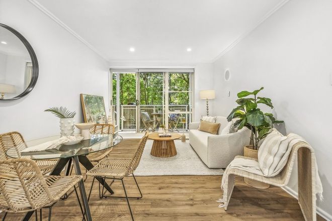 Picture of 2/14 Jenkins Street, COLLAROY NSW 2097