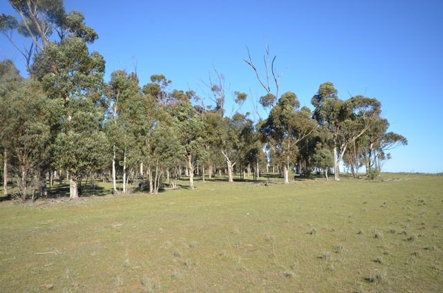 Lot 160 Road 137, Leighton SA 5417, Image 2