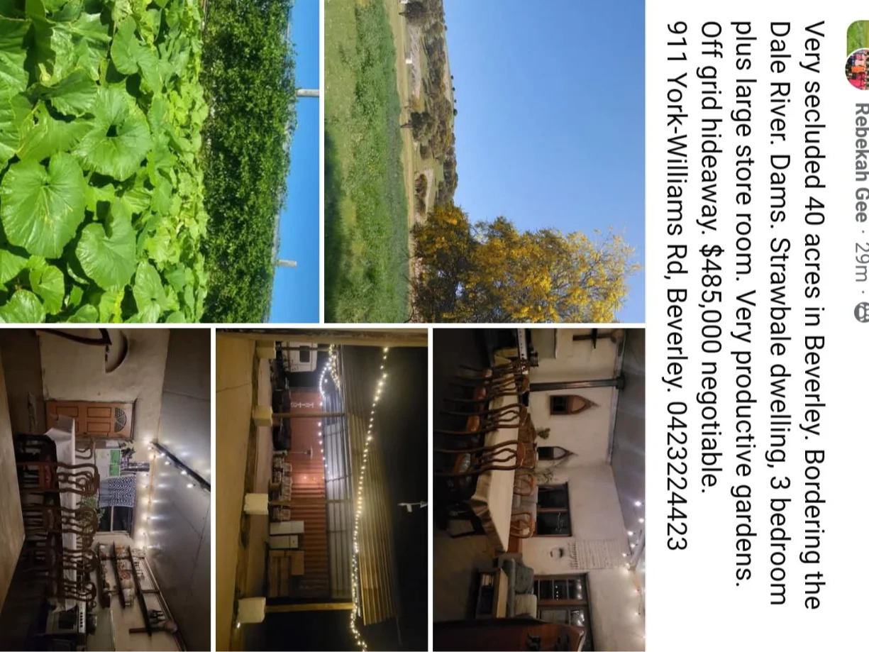 Image 10