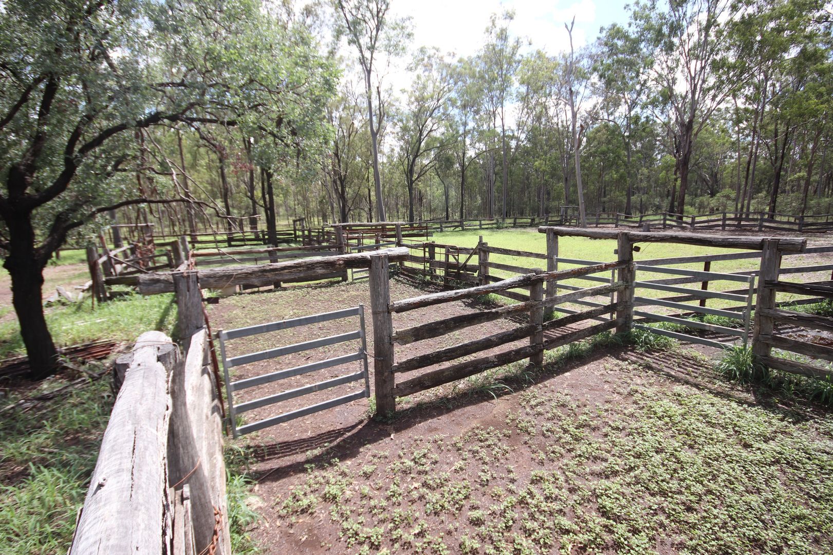 'Greentree' Mundubbera-Durong Rd, Mundubbera QLD 4626, Image 1