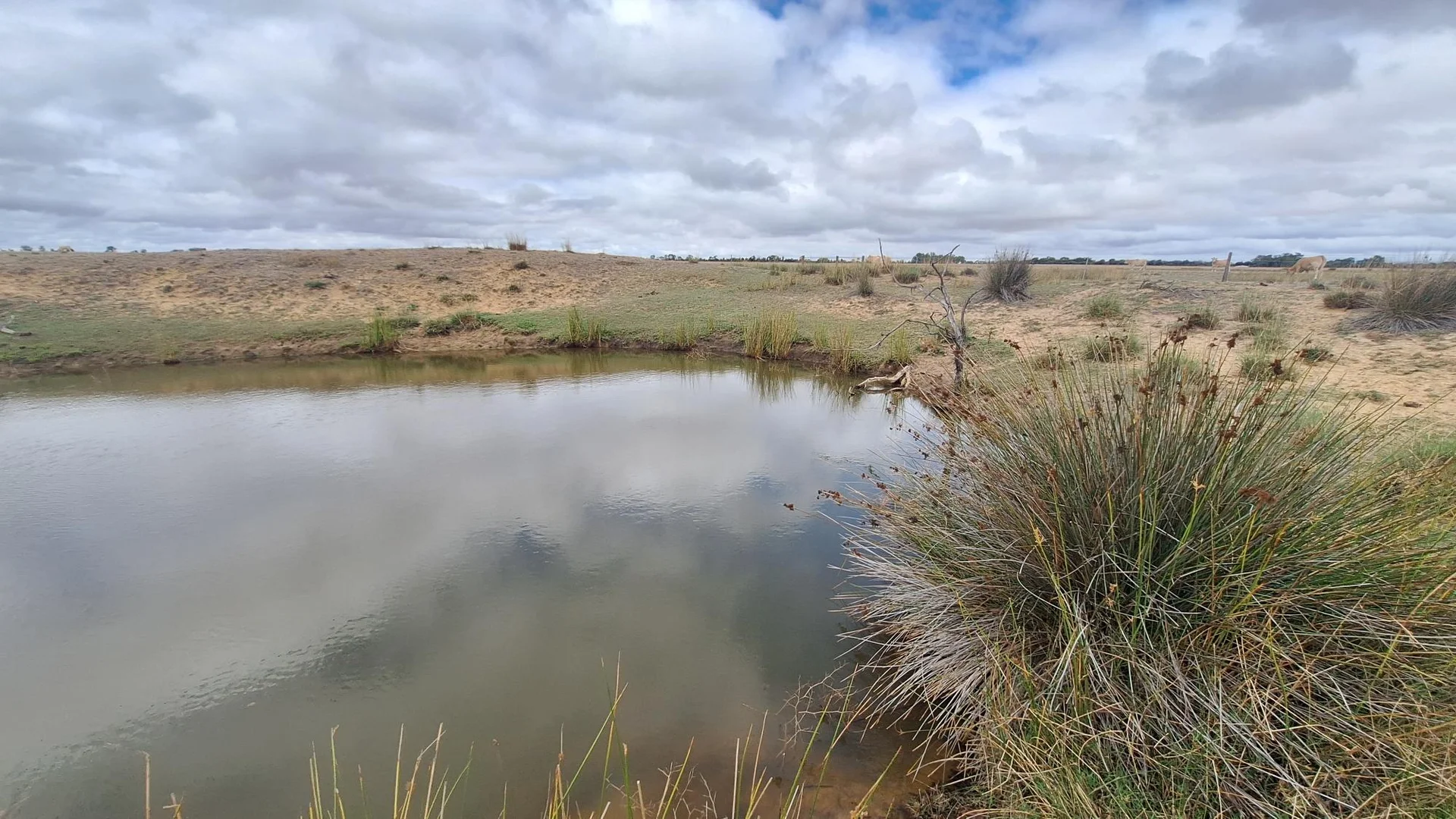 Additional image 19 of 1222 Namban West Road, Namban WA 6512