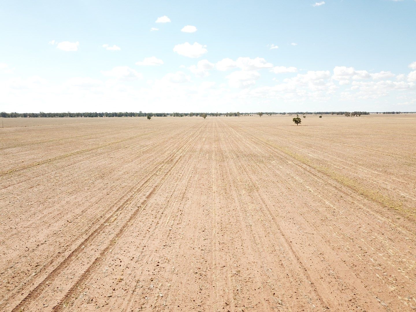 Pett's Block, Pineview Road, Narromine NSW 2821, Image 0