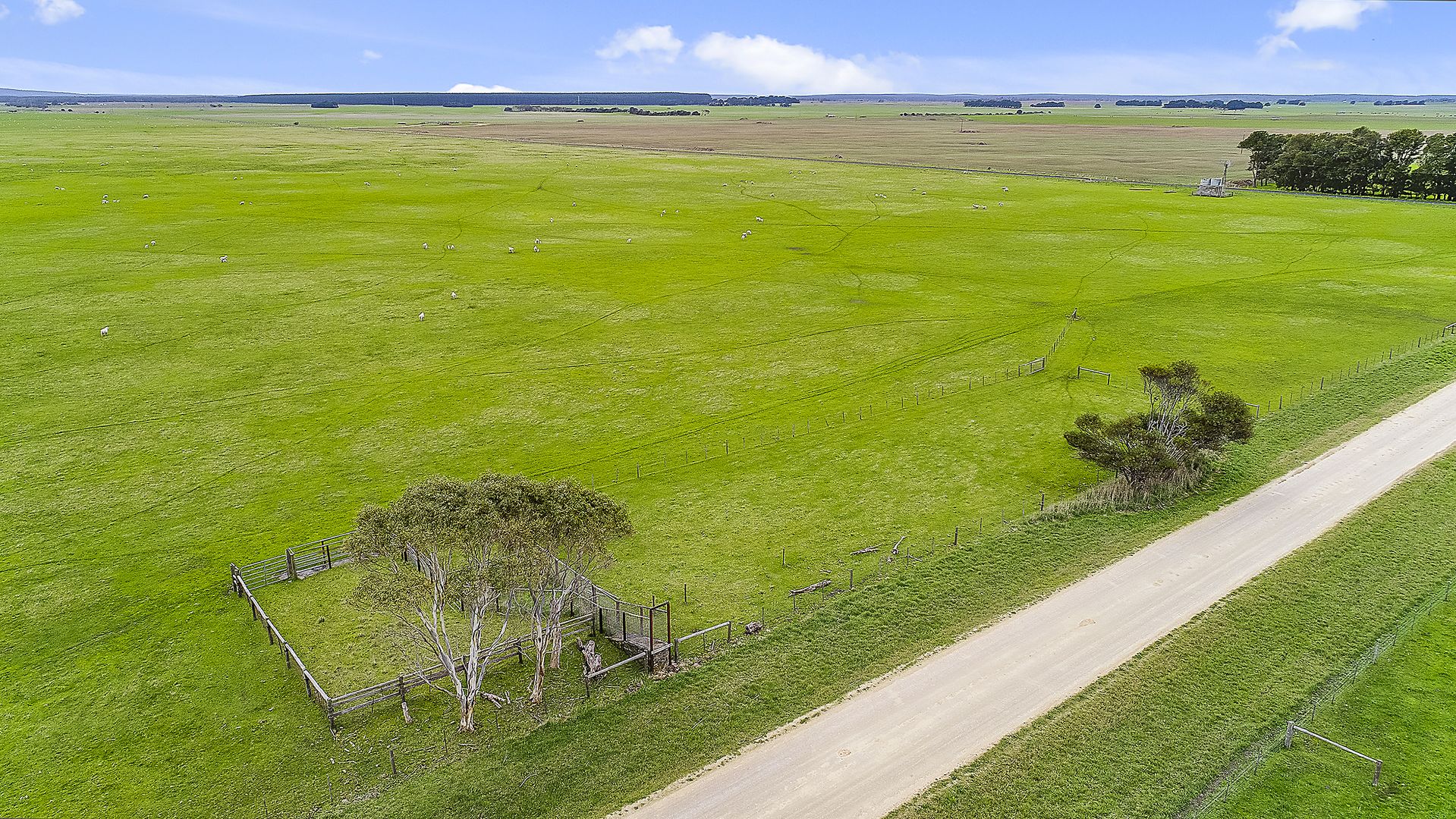 Lot 19 Burrungule Road, Burrungule SA 5291, Image 2