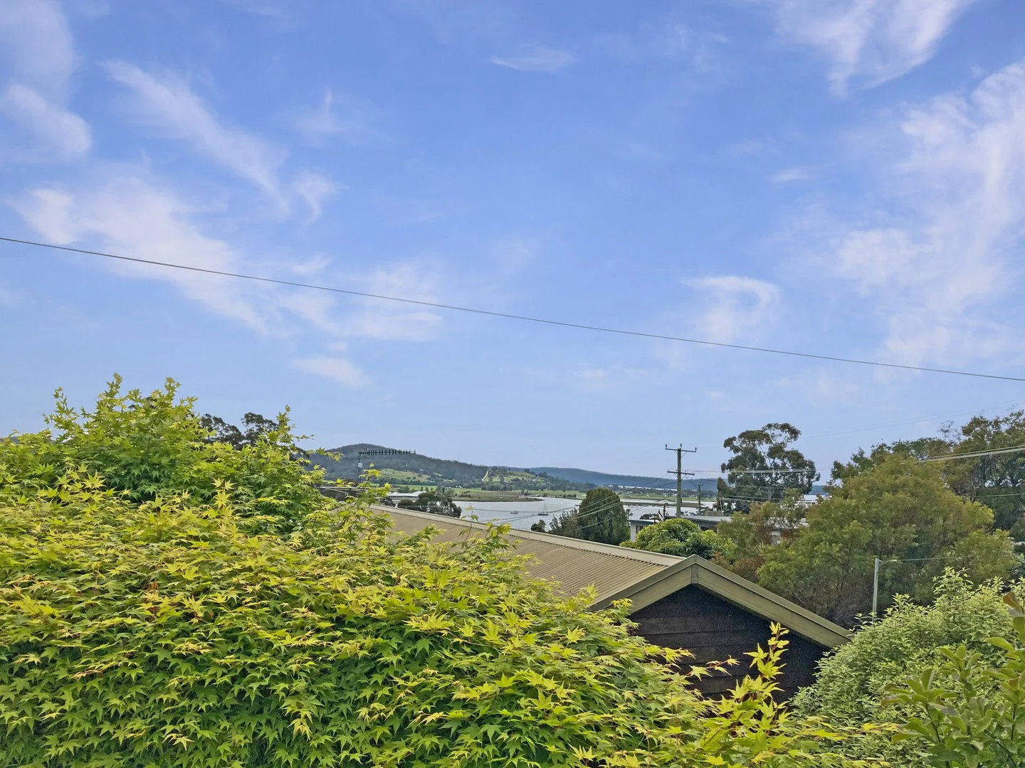 Image 15