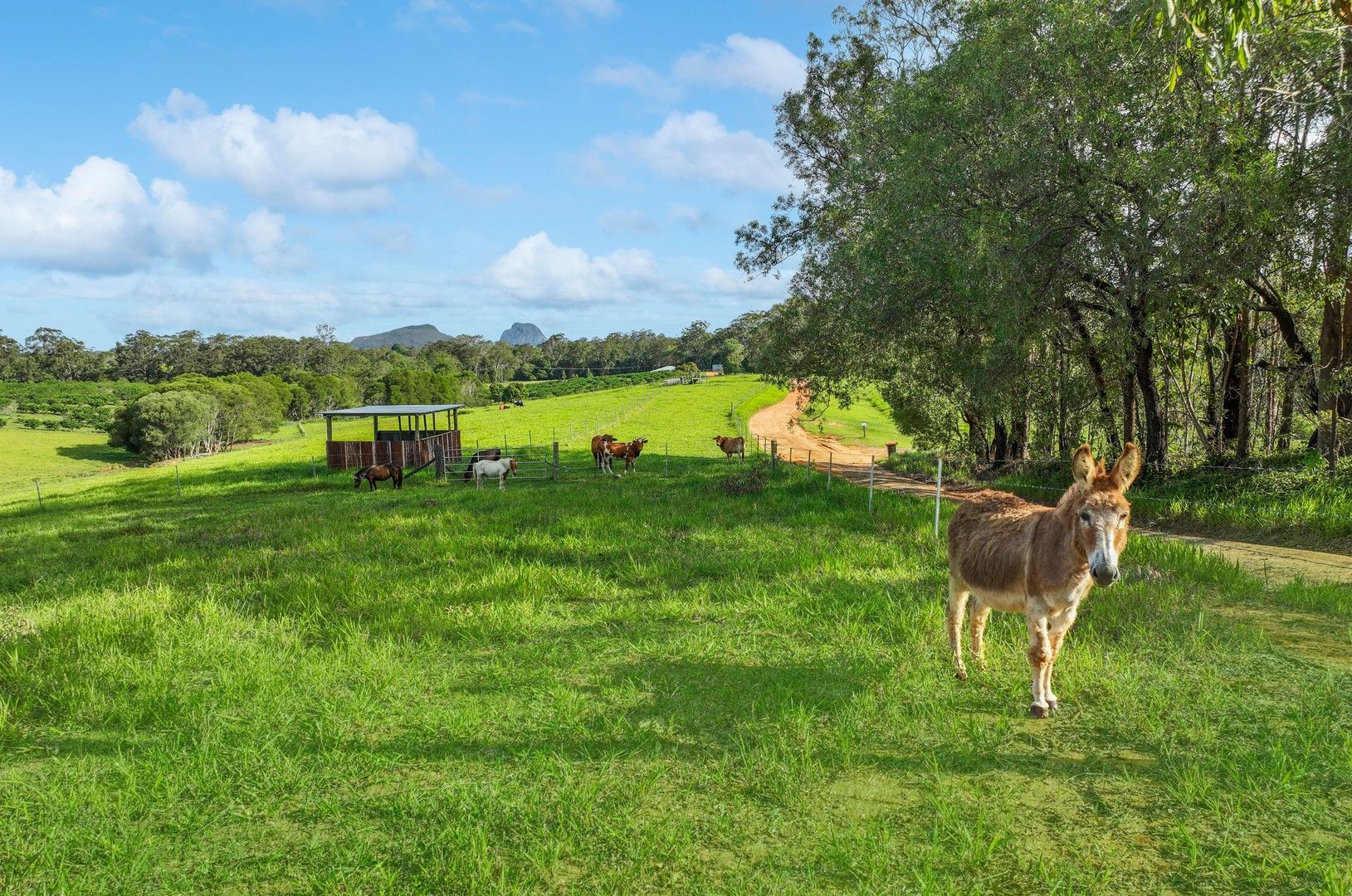 65 Stirling Road, Peachester QLD 4519 House for Sale Domain