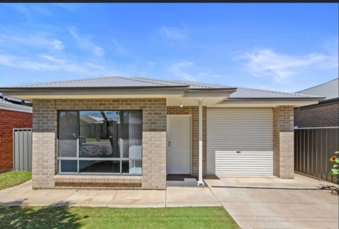 13 Windsor Grove, Klemzig SA 5087, Image 0