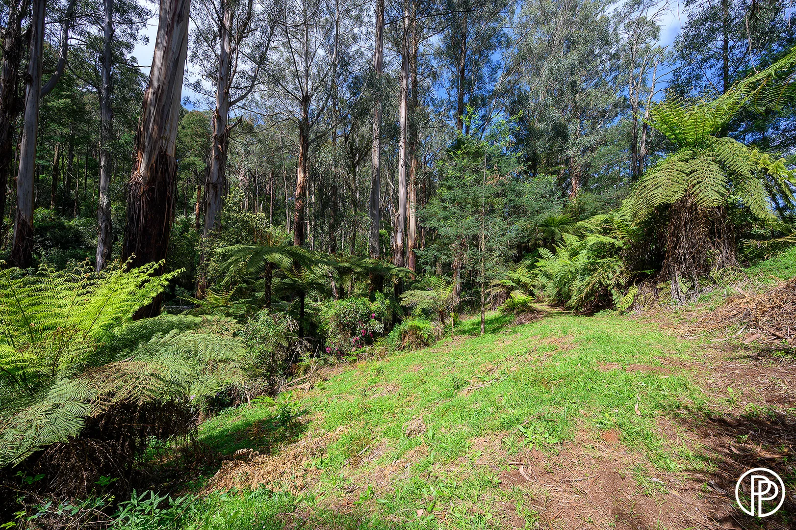 Image 6