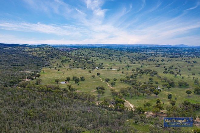 Picture of 628 Warrabah Road, URALLA NSW 2358