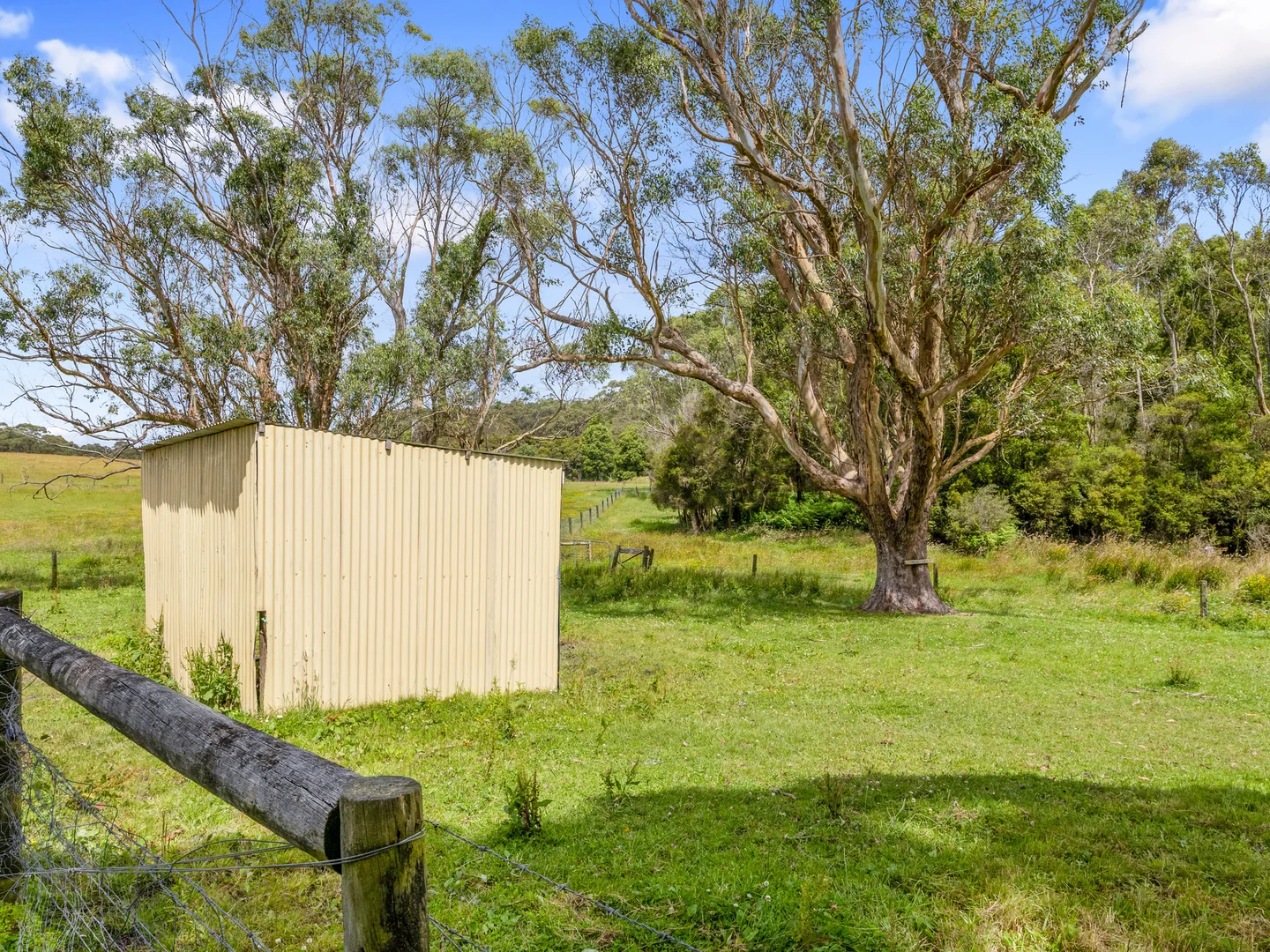 Image 19