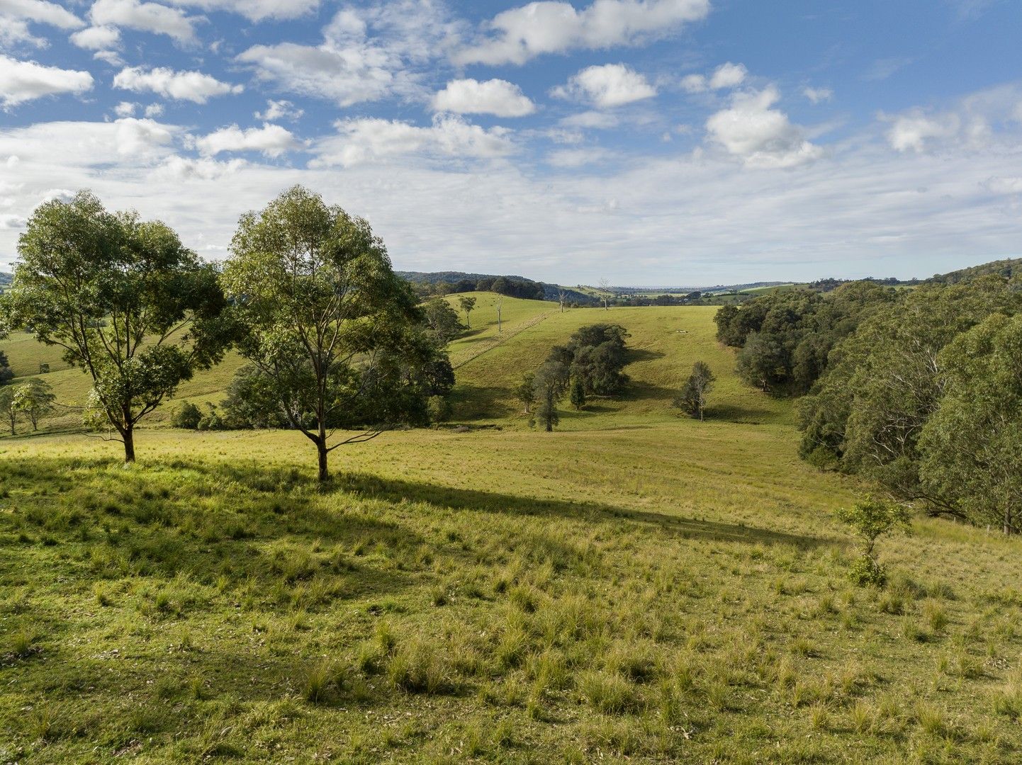 Lot 2 Burra Creek Road, Jamberoo NSW 2533, Image 0