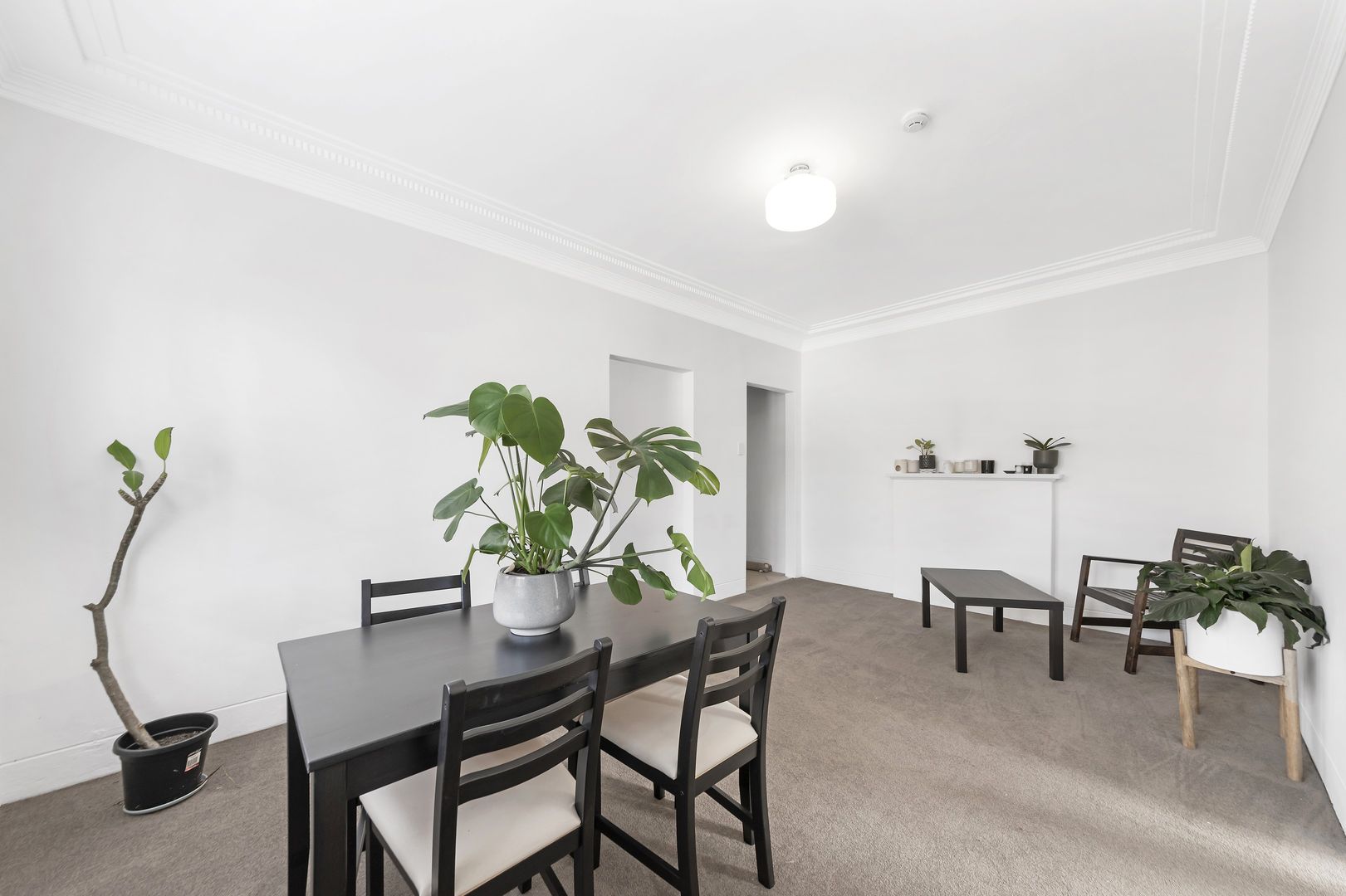1/113 Edgecliff Rd, Woollahra NSW 2025 Apartment For Rent 630 Domain