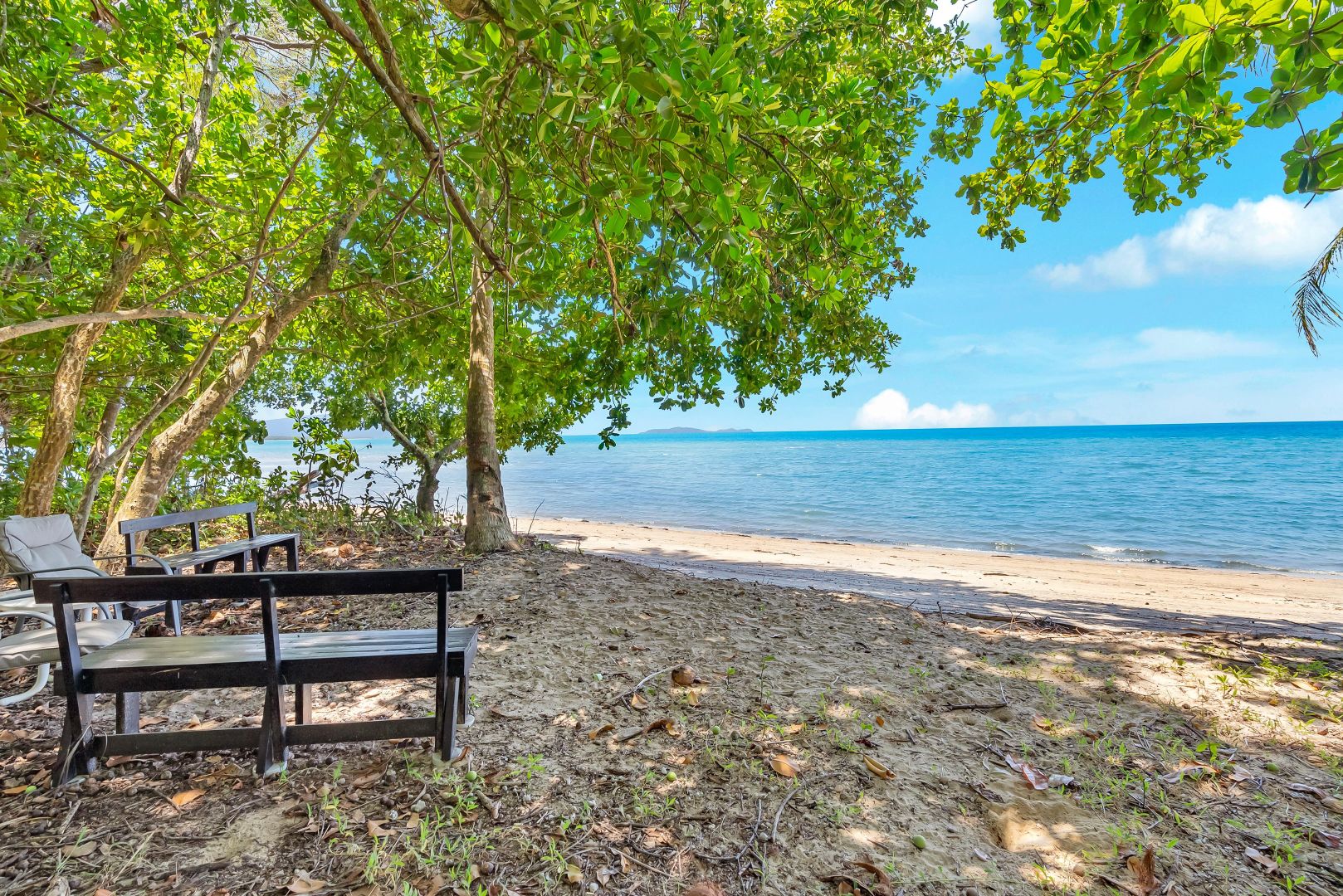 6 Camelia Close, Wonga Beach Property History & Address Research Domain