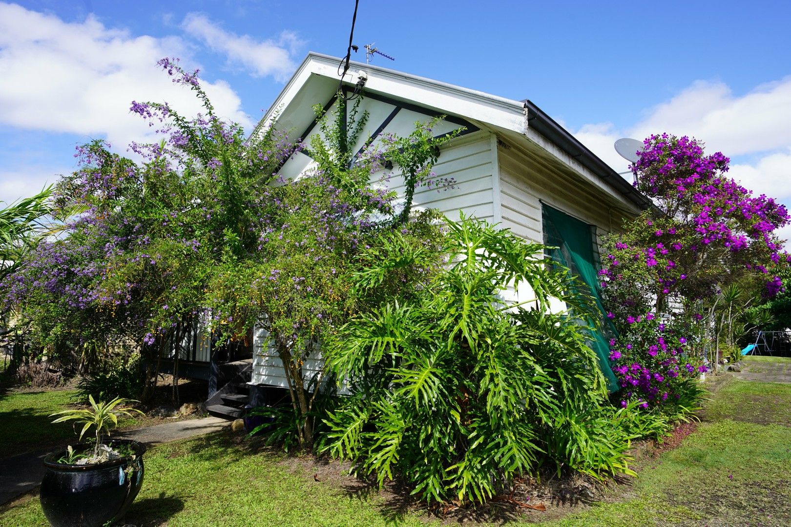 6 Paget St, Mooloolah Valley QLD 4553 Domain