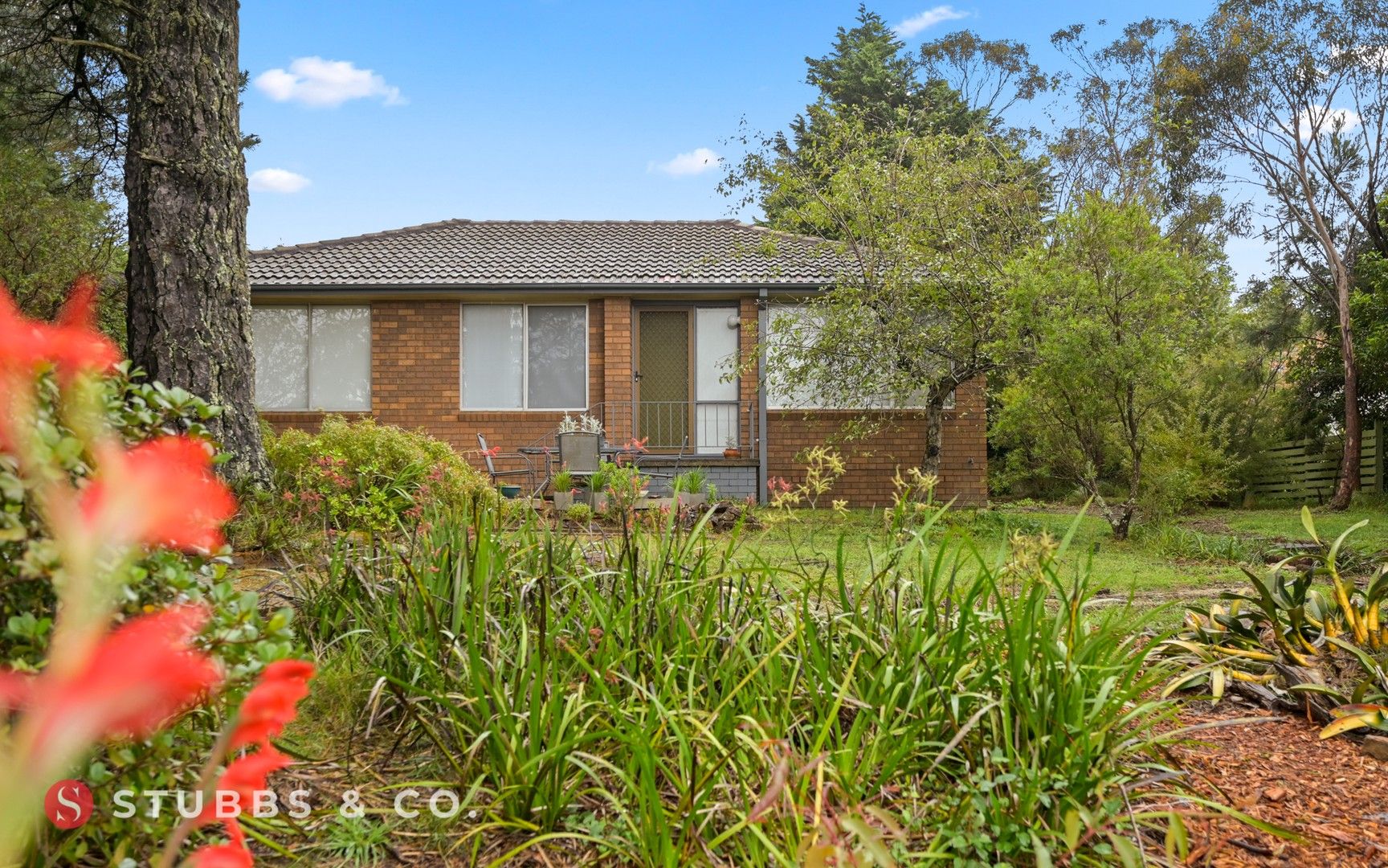 7 CORONATION ROAD, Wentworth Falls NSW 2782, Image 2